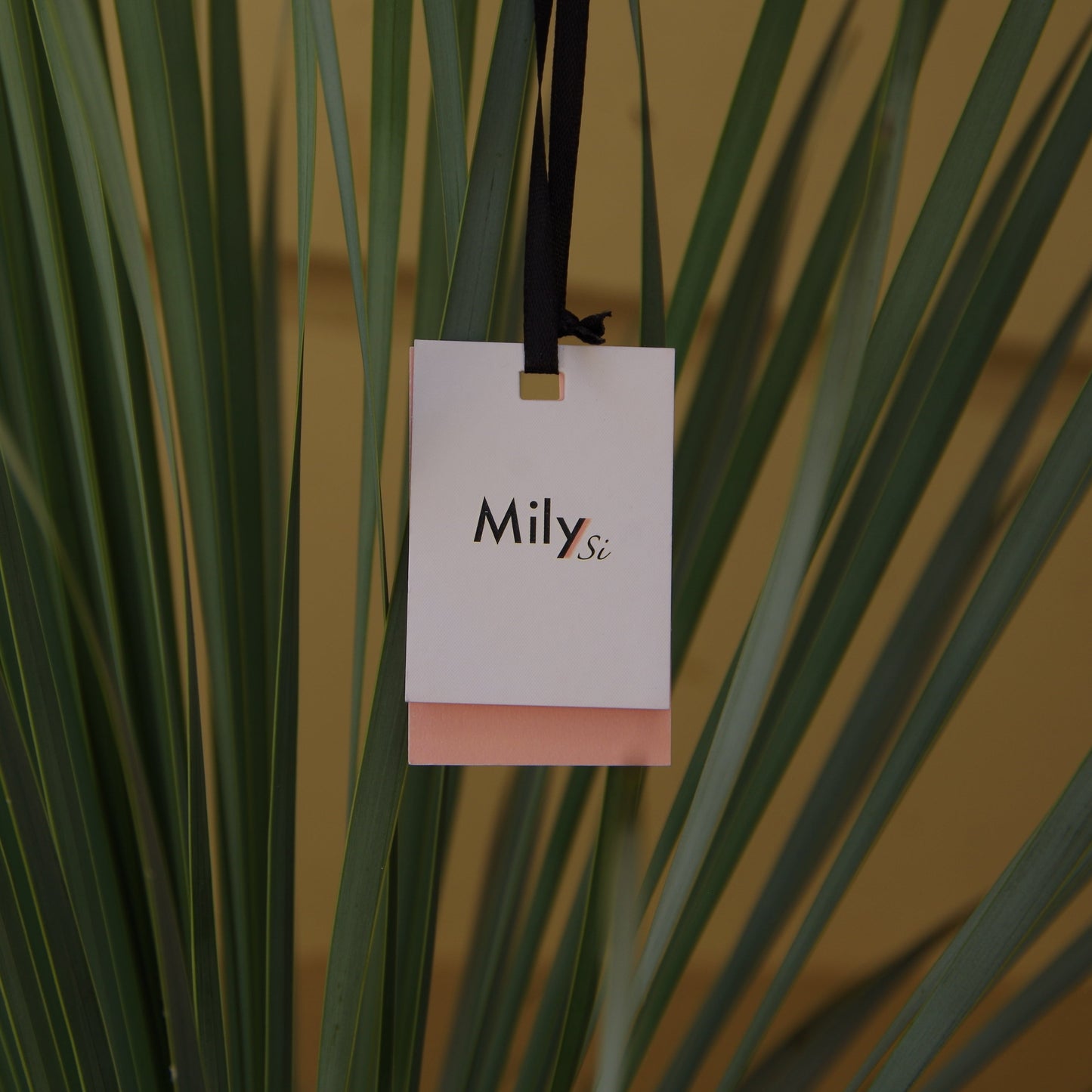 CARTE CADEAU